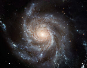 La Galaxia M101